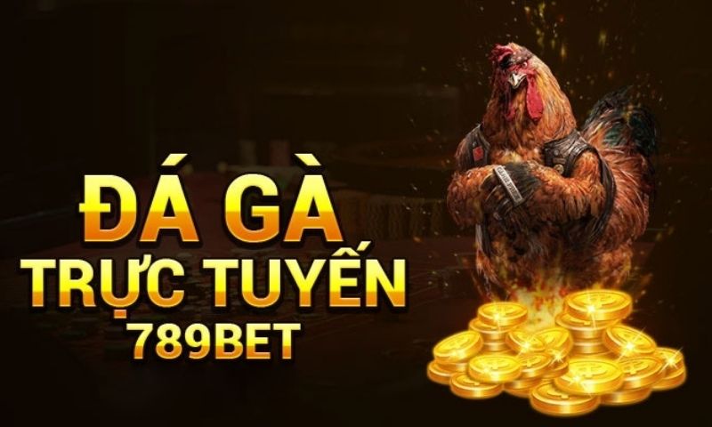 Giới thiệu về địa chỉ cá cược đá gà 789bet