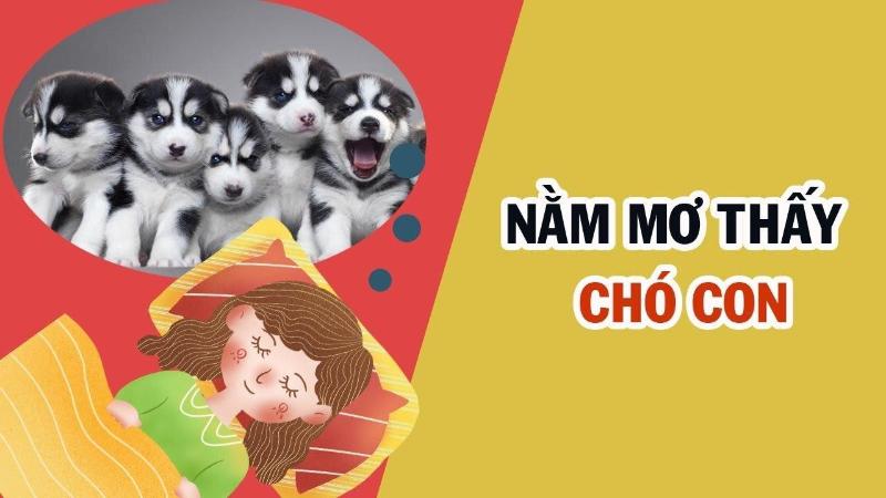 Nằm mơ thấy chó đánh số mấy? Giải mã và tìm ra các con số may mắn